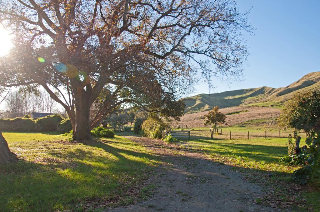 Wairoa The Cottage מראה חיצוני תמונה